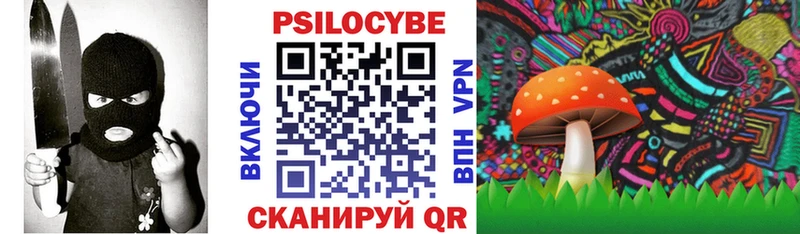 купить закладку  Кондопога  Галлюциногенные грибы MAGIC MUSHROOMS 